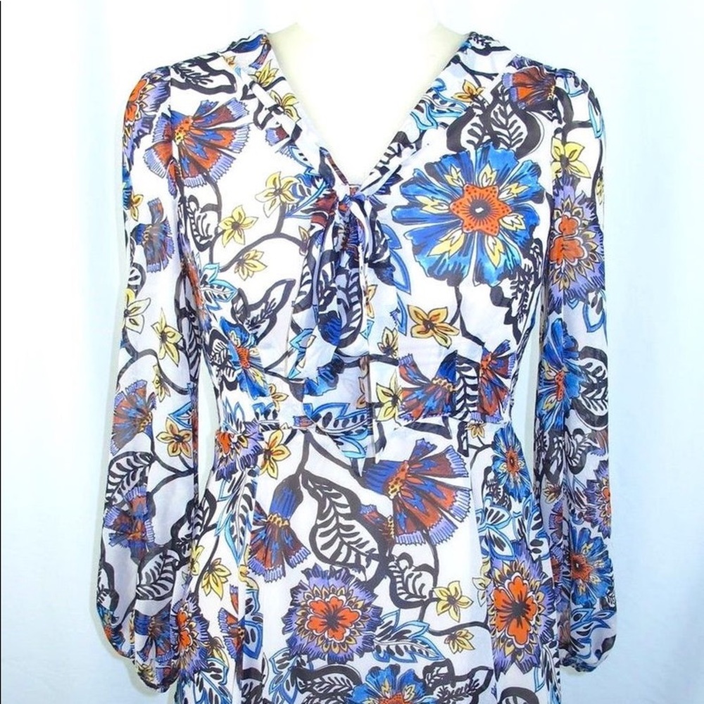Betsey Johnson Floral folk a-line dress - Picture 6 of 8